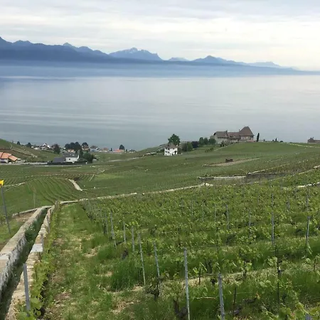 Charmant Cocon Dans Le Lavaux * Pully