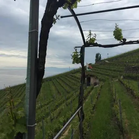 Apartment Charmant Cocon Dans Le Lavaux Pully